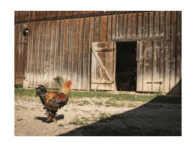 Apartment Fewo Kräutergartl - Outdoor photo 16