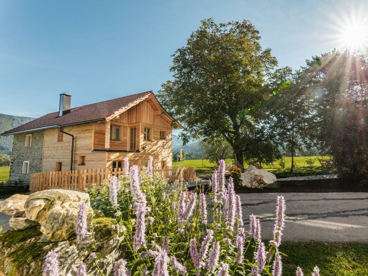 Apartment Appartement ESCHE