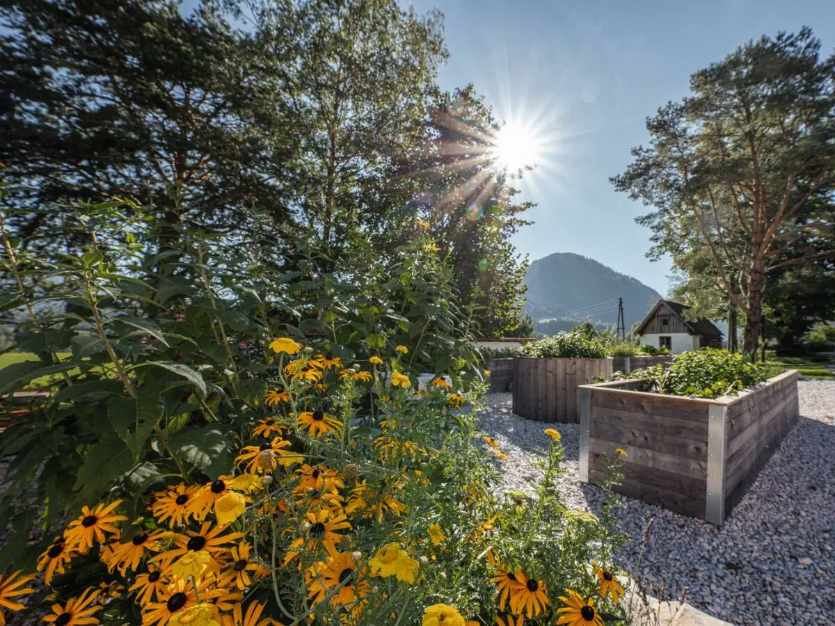 Apartment Appartement ESCHE - Outdoor photo 5