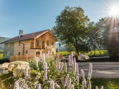 Apartment Appartement ESCHE in Landl - Apartment