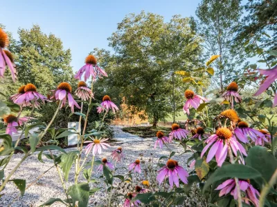 Apartment Appartement ESCHE - Outdoor photo 9