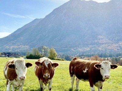 Apartment Appartement/Fewo - Outdoor photo 8