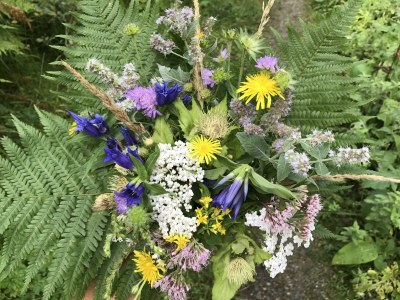 Apartment Appartement/Fewo - Outdoor photo 11