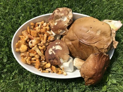 Apartment Appartement/Fewo - Outdoor photo 14