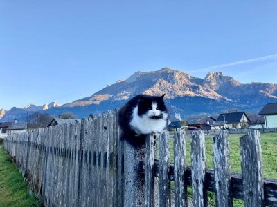 Apartment Appartement/Fewo - Outdoor photo 26