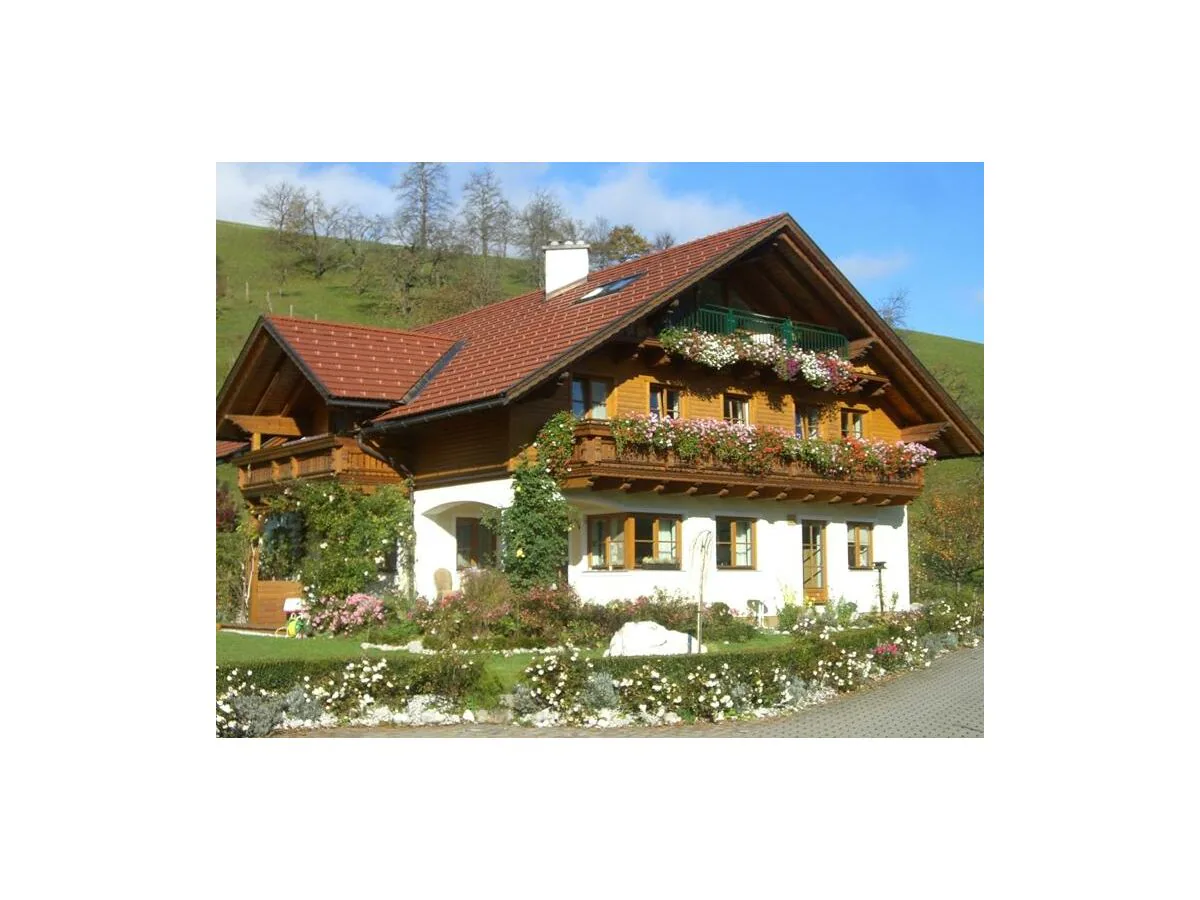 Apartment Appartement/Fewo, Dusche und Bad, WC, 2 Schlafräum