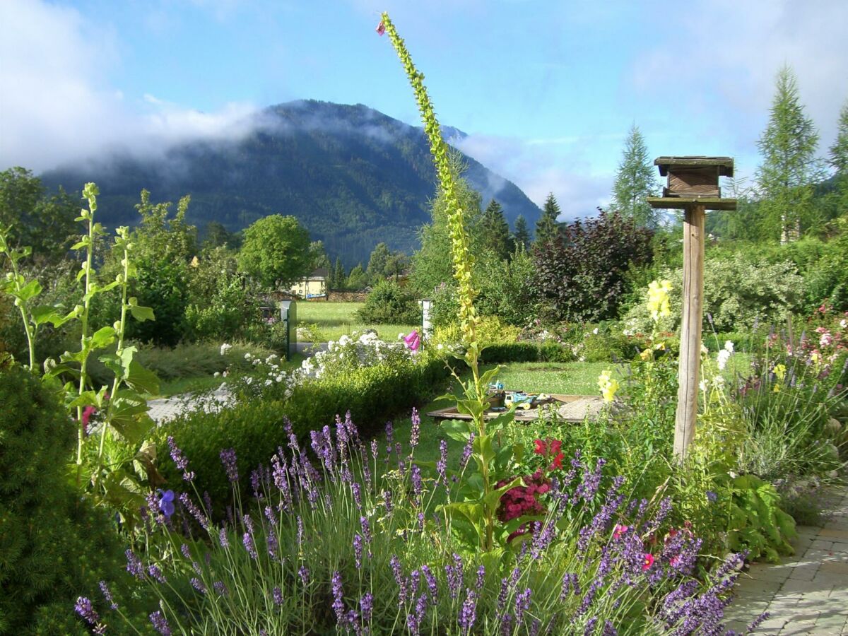 Apartment Appartement/Fewo, Dusche und Bad, WC, 2 Schlafräum - Outdoor photo 5