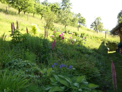 Apartment Appartement/Fewo, Dusche und Bad, WC, 2 Schlafräum - Outdoor photo 7