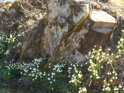Apartment Appartement/Fewo, Dusche und Bad, WC, 2 Schlafräum - Outdoor photo 30