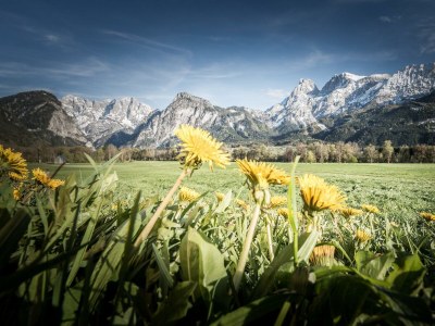 Apartment Ferienwohnung am Sonnenweg - Outdoor photo 2