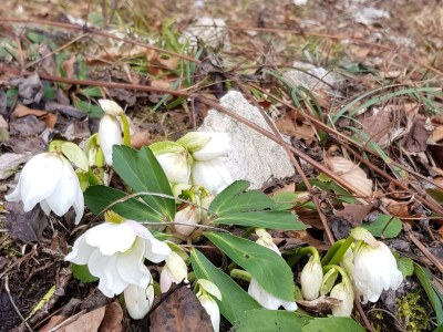 Holiday room Doppelzimmer, Dusche, WC - Outdoor photo 13