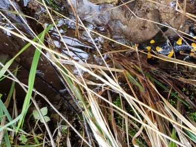 Holiday room Doppelzimmer, Dusche, WC - Outdoor photo 14