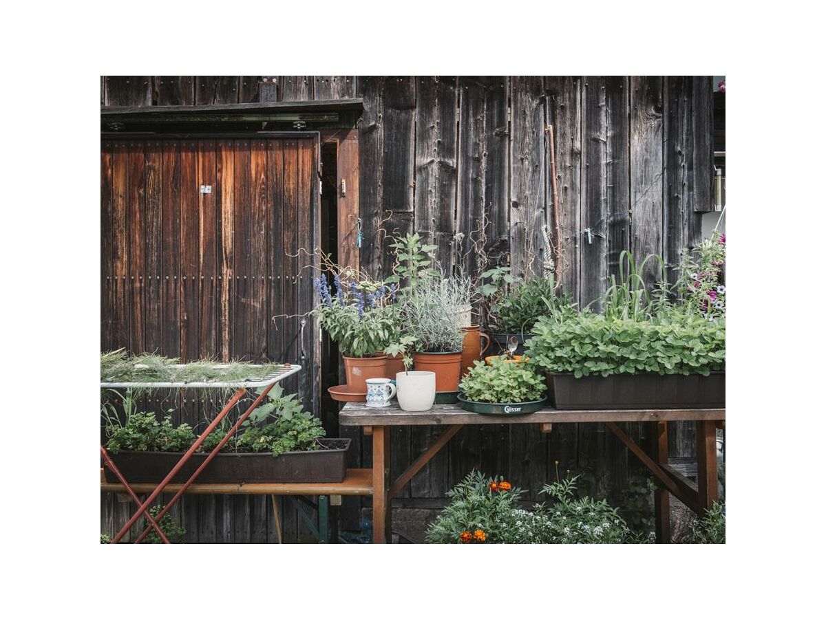 Holiday room Holzwurm - Outdoor photo 2