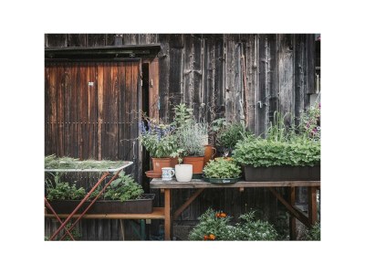 Holiday room Holzwurm - Outdoor photo 2