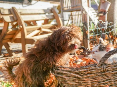 Holiday room Holzwurm - Outdoor photo 9