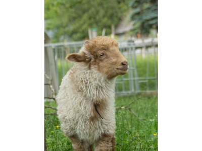 Holiday room Holzwurm - Outdoor photo 10