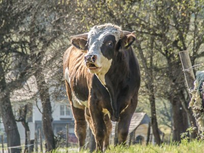 Holiday room Holzwurm - Outdoor photo 11