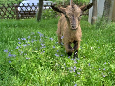 Holiday room Holzwurm - Outdoor photo 12