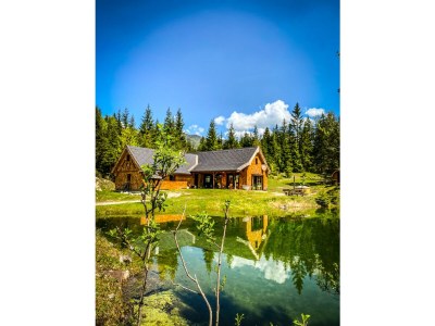 Apartment Ferienhaus, Toilette und Bad/Dusche getrennt, 2 Sc in Wildalpen - Apartment