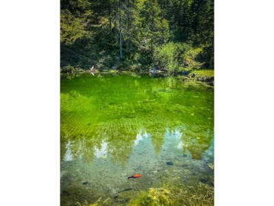 Apartment Ferienhaus, Toilette und Bad/Dusche getrennt, 2 Sc - Outdoor photo 6