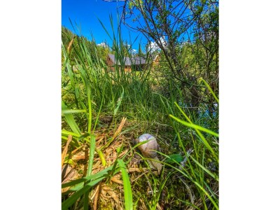 Apartment Ferienhaus, Toilette und Bad/Dusche getrennt, 2 Sc - Outdoor photo 7