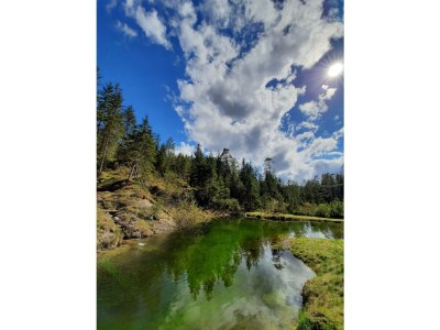 Apartment Ferienhaus, Toilette und Bad/Dusche getrennt, 2 Sc - Outdoor photo 8