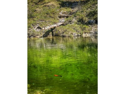 Apartment Ferienhaus, Toilette und Bad/Dusche getrennt, 2 Sc - Outdoor photo 16