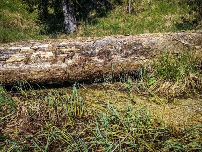 Apartment Ferienhaus, Toilette und Bad/Dusche getrennt, 2 Sc - Outdoor photo 18