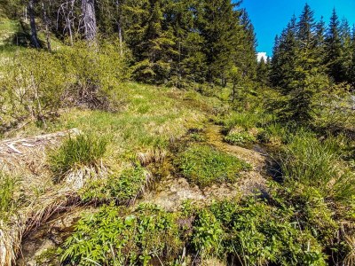 Apartment Ferienhaus, Toilette und Bad/Dusche getrennt, 2 Sc - Outdoor photo 19