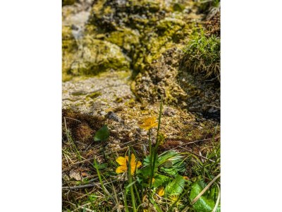 Apartment Ferienhaus, Toilette und Bad/Dusche getrennt, 2 Sc - Outdoor photo 20