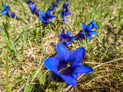 Apartment Ferienhaus, Toilette und Bad/Dusche getrennt, 2 Sc - Outdoor photo 21