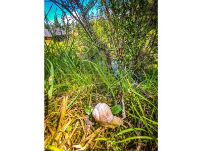 Apartment Ferienhaus, Toilette und Bad/Dusche getrennt, 2 Sc - Outdoor photo 27