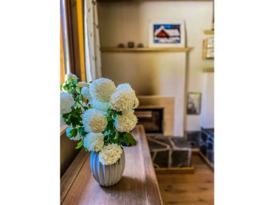 Apartment Ferienhaus, Toilette und Bad/Dusche getrennt, 2 Sc - Features photo 34