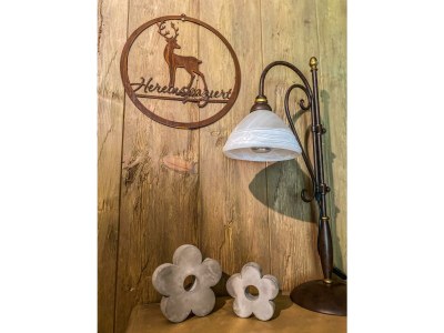 Apartment Ferienhaus, Toilette und Bad/Dusche getrennt, 2 Sc - Features photo 35