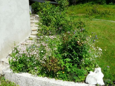 Apartment Ferienhaus, Nichtraucher - Outdoor photo 18