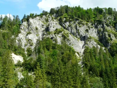 Apartment Ferienhaus, Nichtraucher - Outdoor photo 21