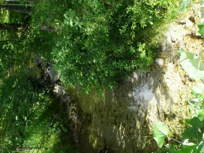 Apartment Ferienhaus, Nichtraucher - Outdoor photo 22