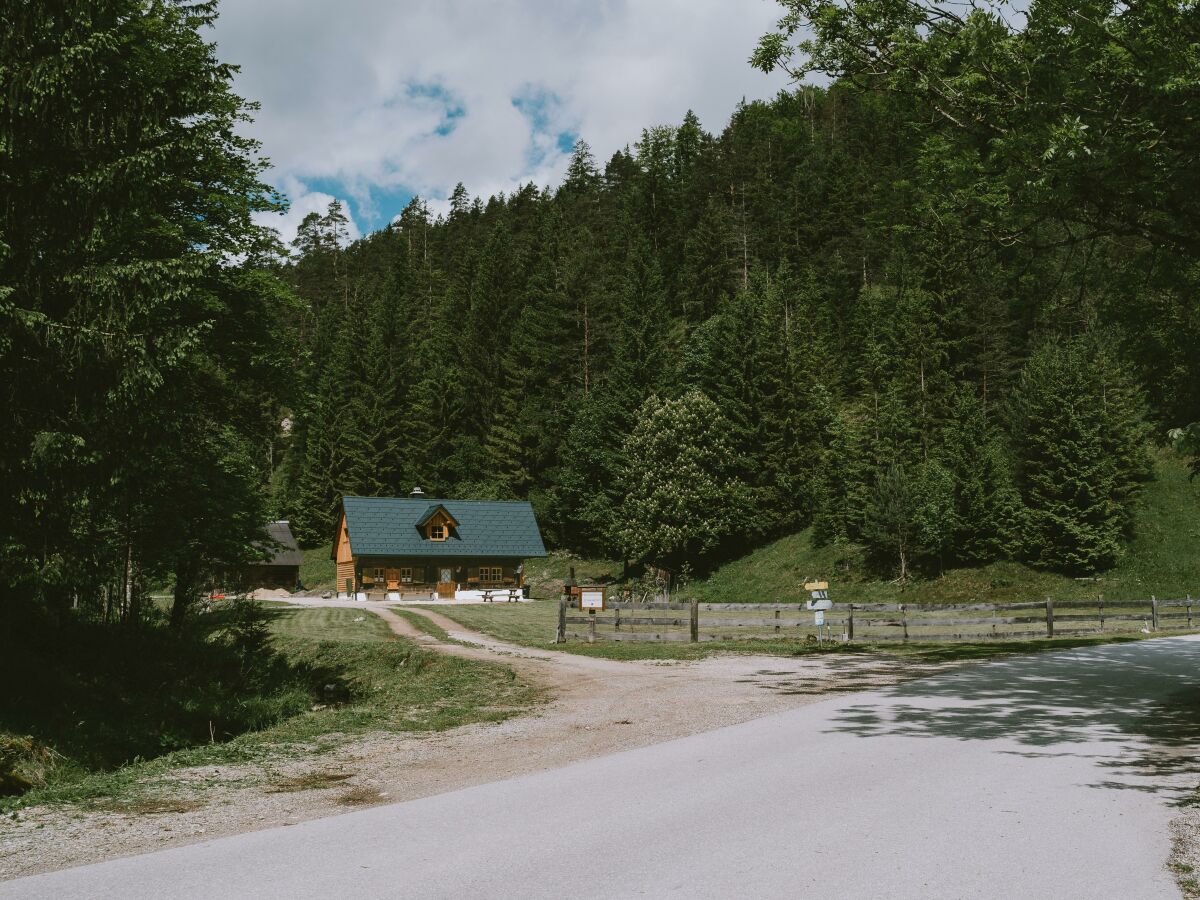 Apartment Hütte, Dusche, WC, waldseitig - Outdoor photo 4