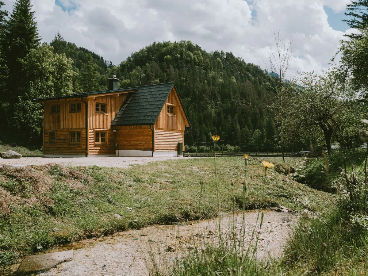 Apartment Hütte, Dusche, WC, waldseitig - Outdoor photo 5