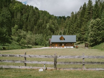 Apartment Hütte, Dusche, WC, waldseitig - Outdoor photo 7