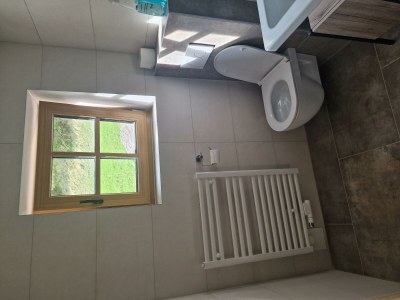 Apartment Hütte, Dusche, WC, waldseitig - Features photo 10