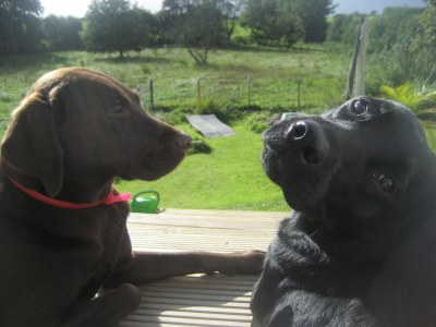 Holiday house Bullerby - Outdoor photo 8