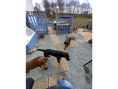 Holiday house Bullerby - Outdoor photo 12