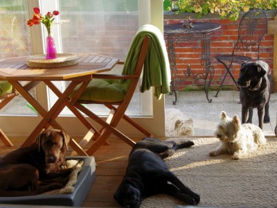 Holiday house Bullerby - Features photo 19