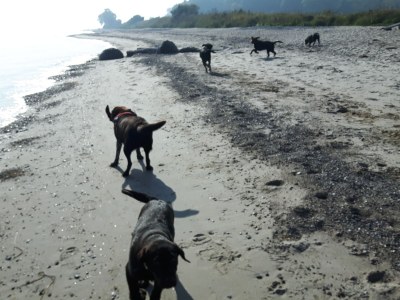 Holiday house Bullerby - Environment photo 29