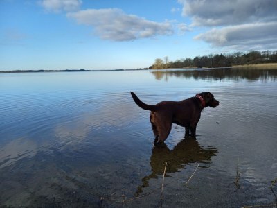 Holiday house Bullerby - Environment photo 31