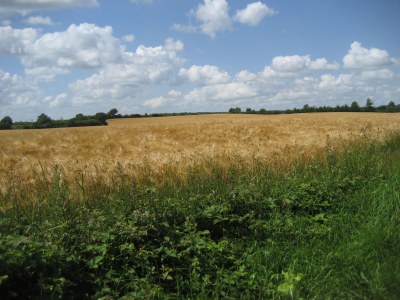 Holiday house Bullerby - Environment photo 32