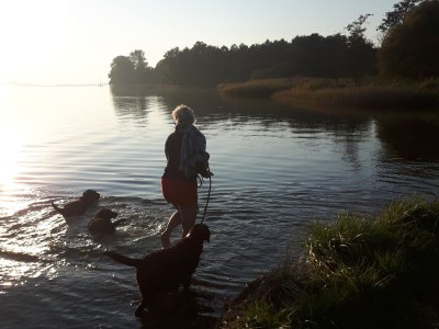 Holiday house Bullerby - Environment photo 33