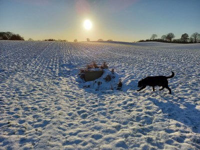 Holiday house Bullerby - Environment photo 36