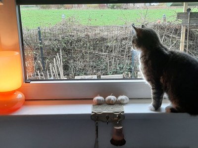 Holiday house Bullerby - Environment photo 40